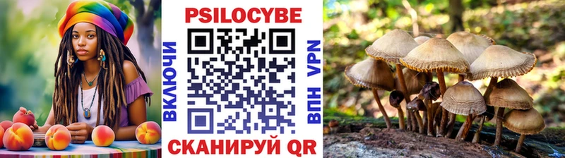 Купить  Бор  Галлюциногенные грибы прущие грибы 